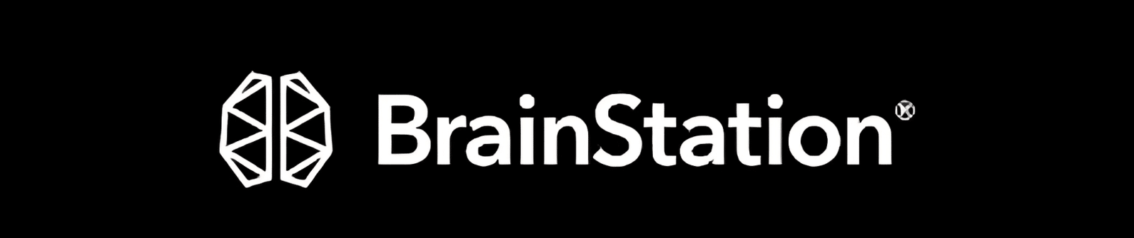 brain station logo
