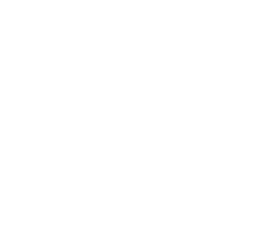 canadian tire W